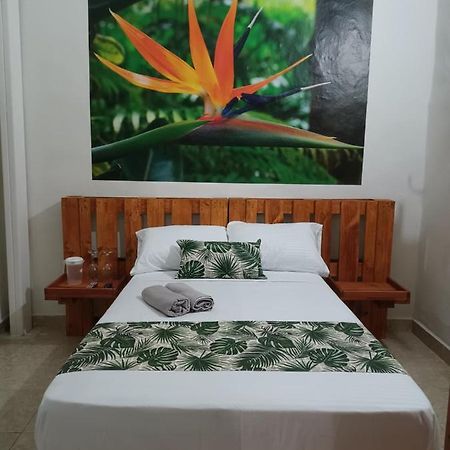 Hospedajes El Jardin Envigado Ngoại thất bức ảnh