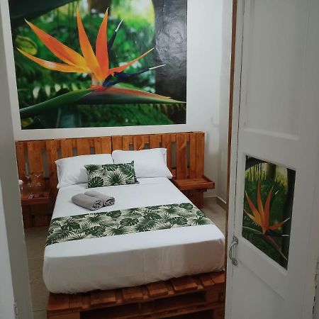 Hospedajes El Jardin Envigado Ngoại thất bức ảnh