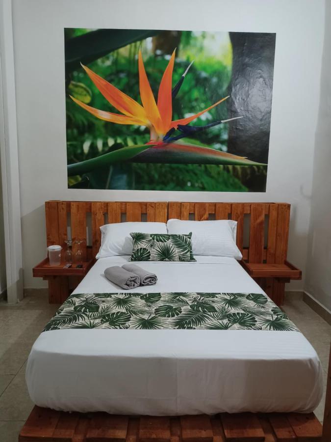 Hospedajes El Jardin Envigado Ngoại thất bức ảnh