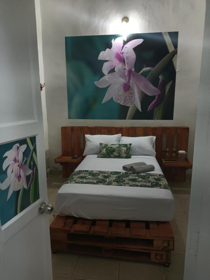 Hospedajes El Jardin Envigado Ngoại thất bức ảnh